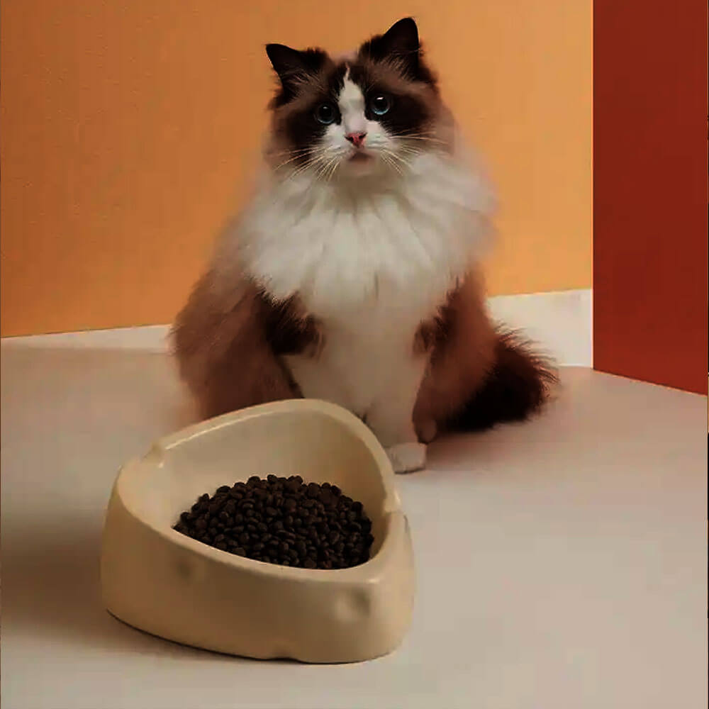 Pet ceramic bowl